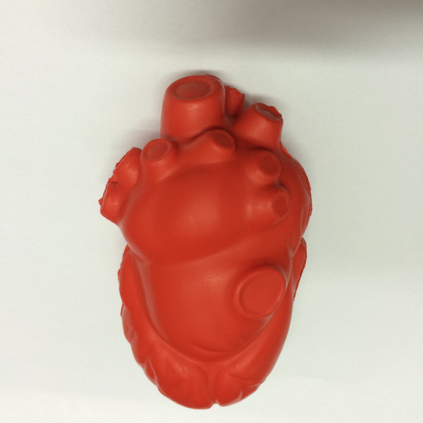 Anti stress corazon humano